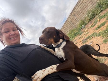 Adopter Chocolate
