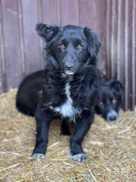 Adopter Cocoh