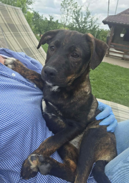 Adopter Cybelle