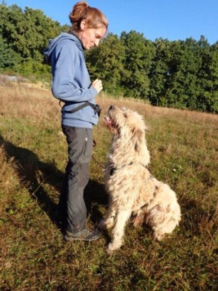 Adopter Darren