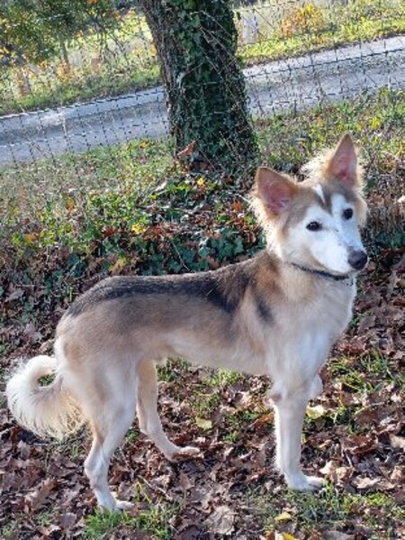 Adopter Edward