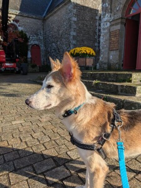 Adopter Edward