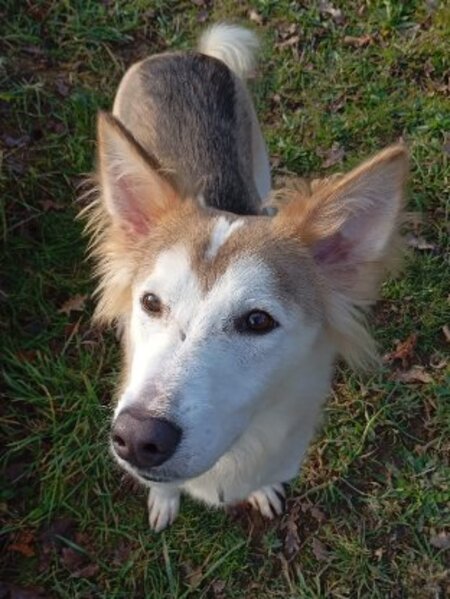 Adopter Edward