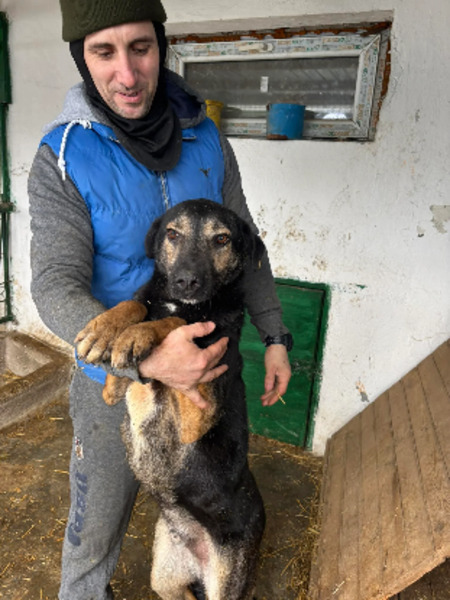 Adopter Elliot