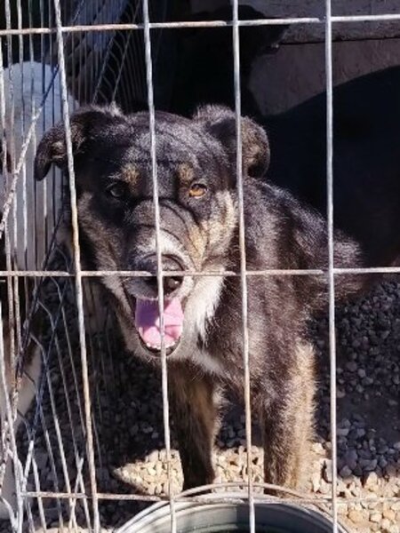 Adopter Eloan