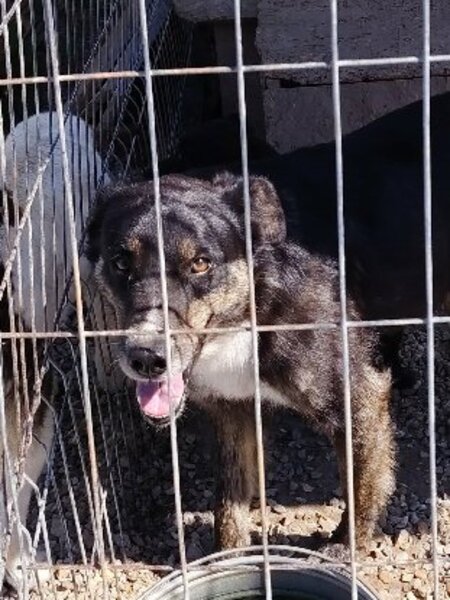 Adopter Eloan