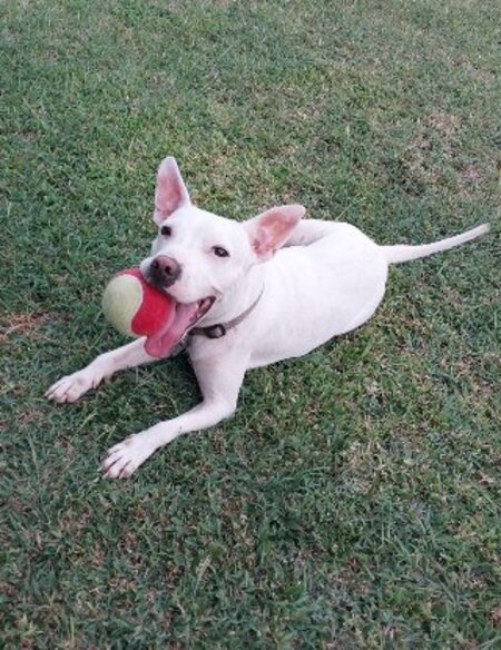 Adopter Emma