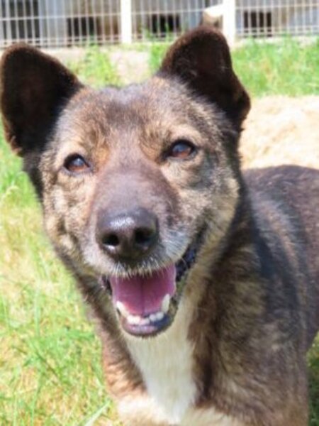 Adopter Erra