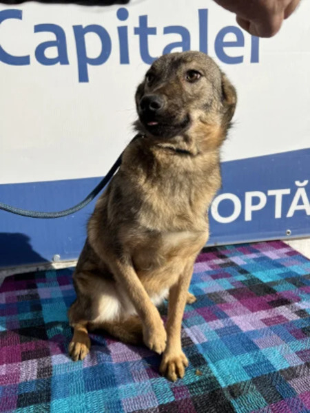 Adopter Esmée