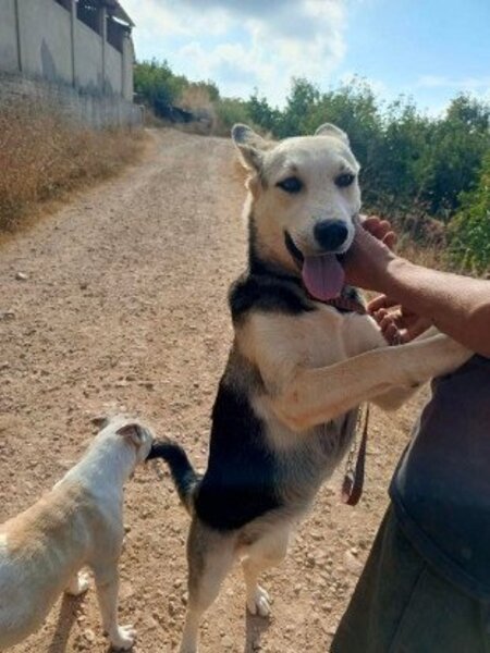 Adopter Fiona