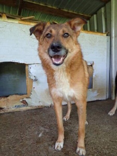 Adopter Gamin