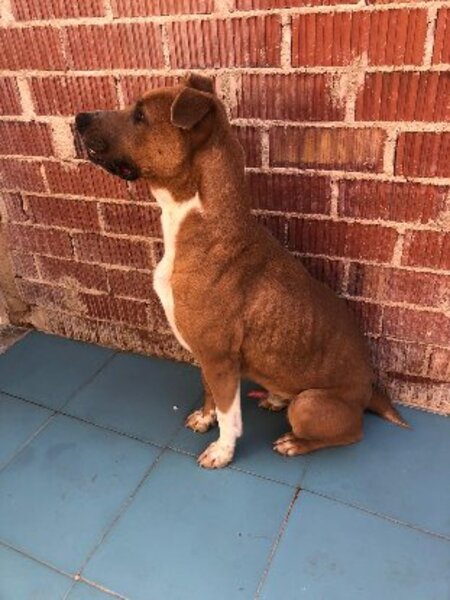 Adopter Jacki