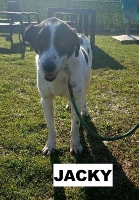 Adopter Florence