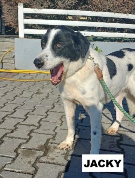Adopter Florence