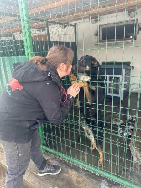 Adopter Jimny