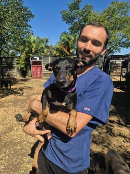 Adopter Joy