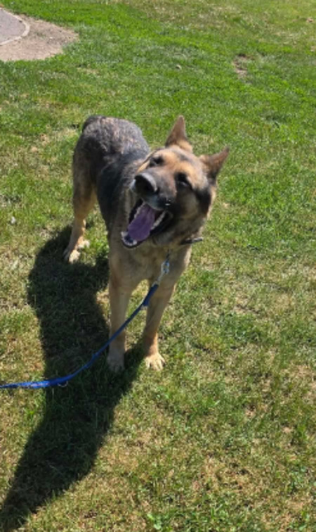 Adopter Kaiser