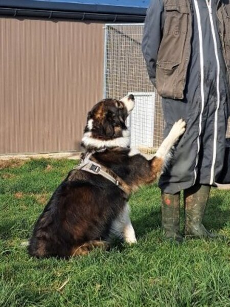 Adopter Kaly