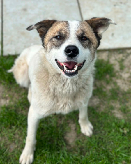 Adopter Karin
