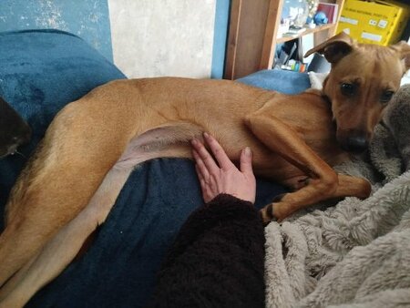 Adopter Kenza