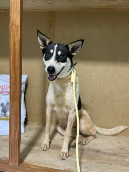 Adopter Kenza