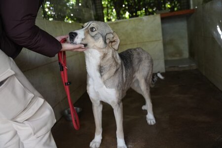 Adopter Keyla