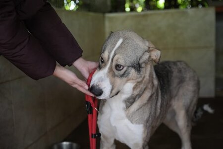 Adopter Keyla