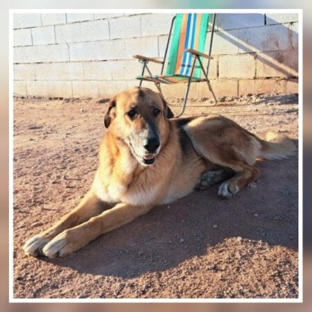 Adopter Kika