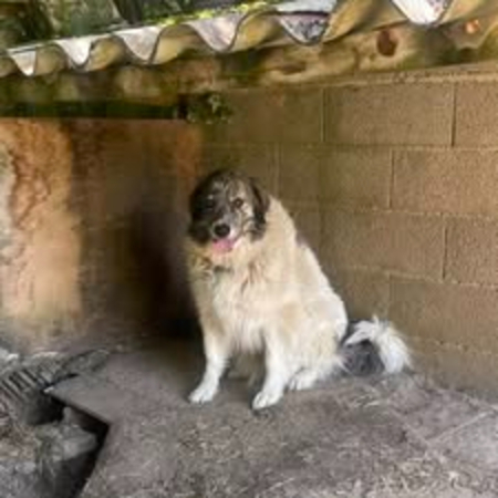 Adopter Kiki et bouba
