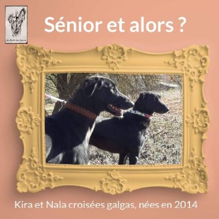 Adopter Kira et nala
