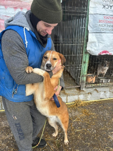 Adopter Lewis