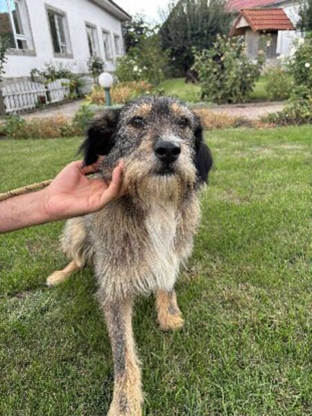 Adopter Lilly