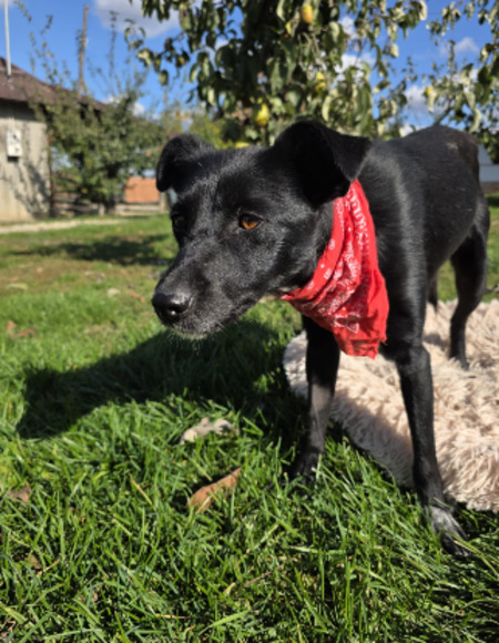 Adopter Loraa