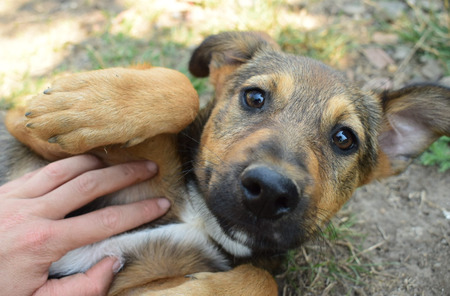 Adopter Lourdes