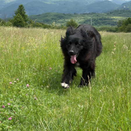 Adopter Lunna