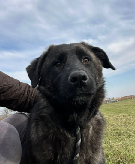 Adopter Madeline