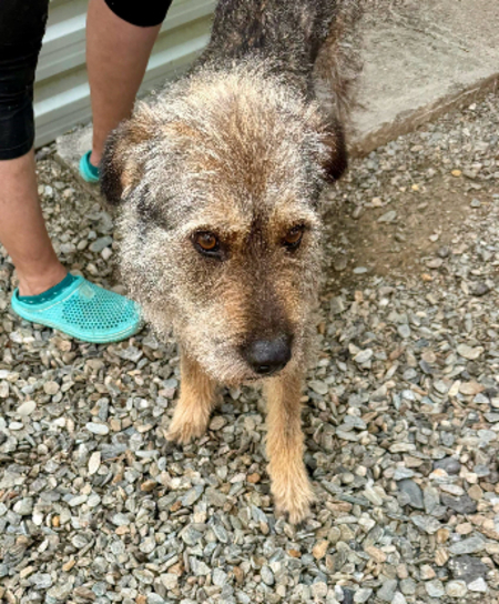 Adopter Magda