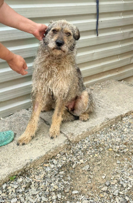 Adopter Magda