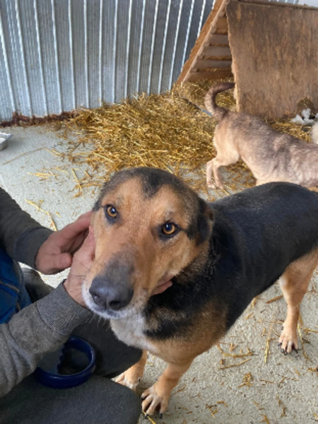Adopter Malcolm