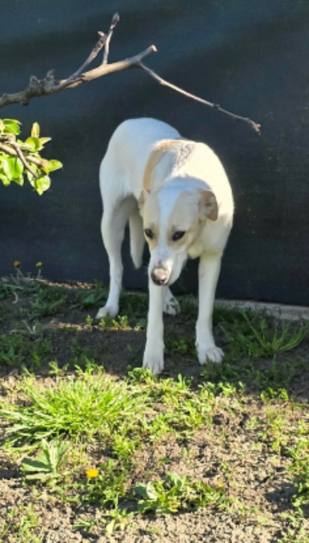 Adopter Marilou