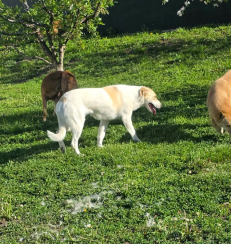 Adopter Marilou