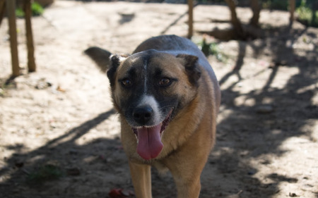 Adopter Marlene