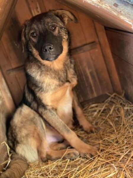 Adopter Marocco