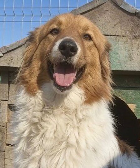 Adopter Marta