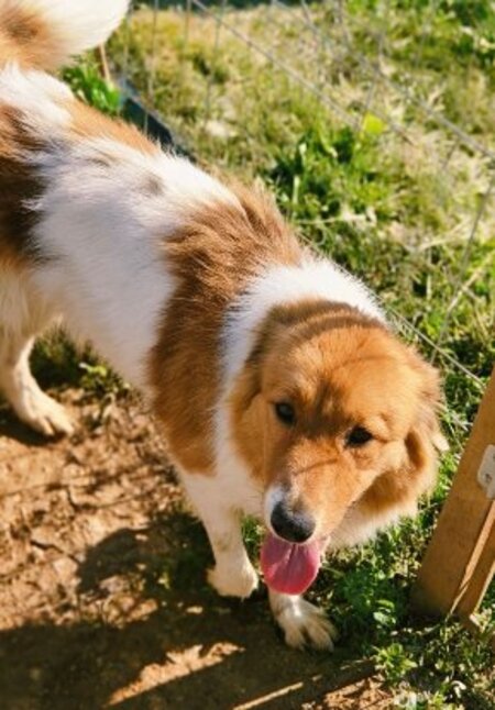 Adopter Marta