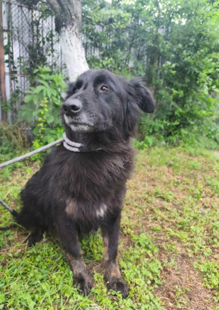 Adopter Marvel