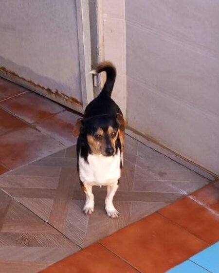 Adopter Mateo
