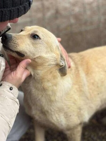 Adopter Mimi