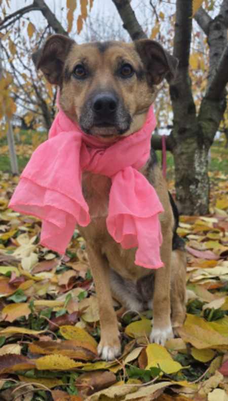 Adopter Mirabel