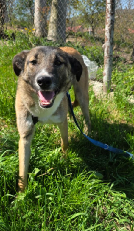 Adopter Miriam